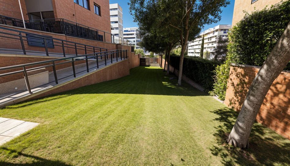 Piso de alquiler en Calle de Miguel Ángel Asturias, Sanchinarro - Imagen 2