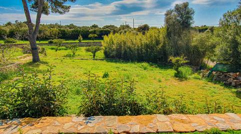 Foto 4 de Finca rústica en venta en S'Aranjassa, Illes Balears