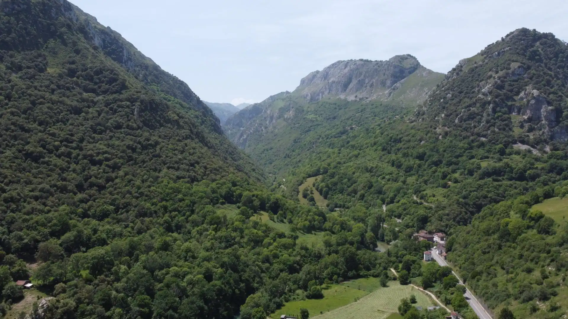 Vista exterior de Terreno en venta en Peñamellera Alta