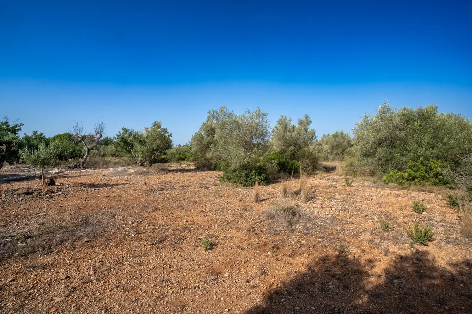 Rural land for sale in Vinallop, imagen 6