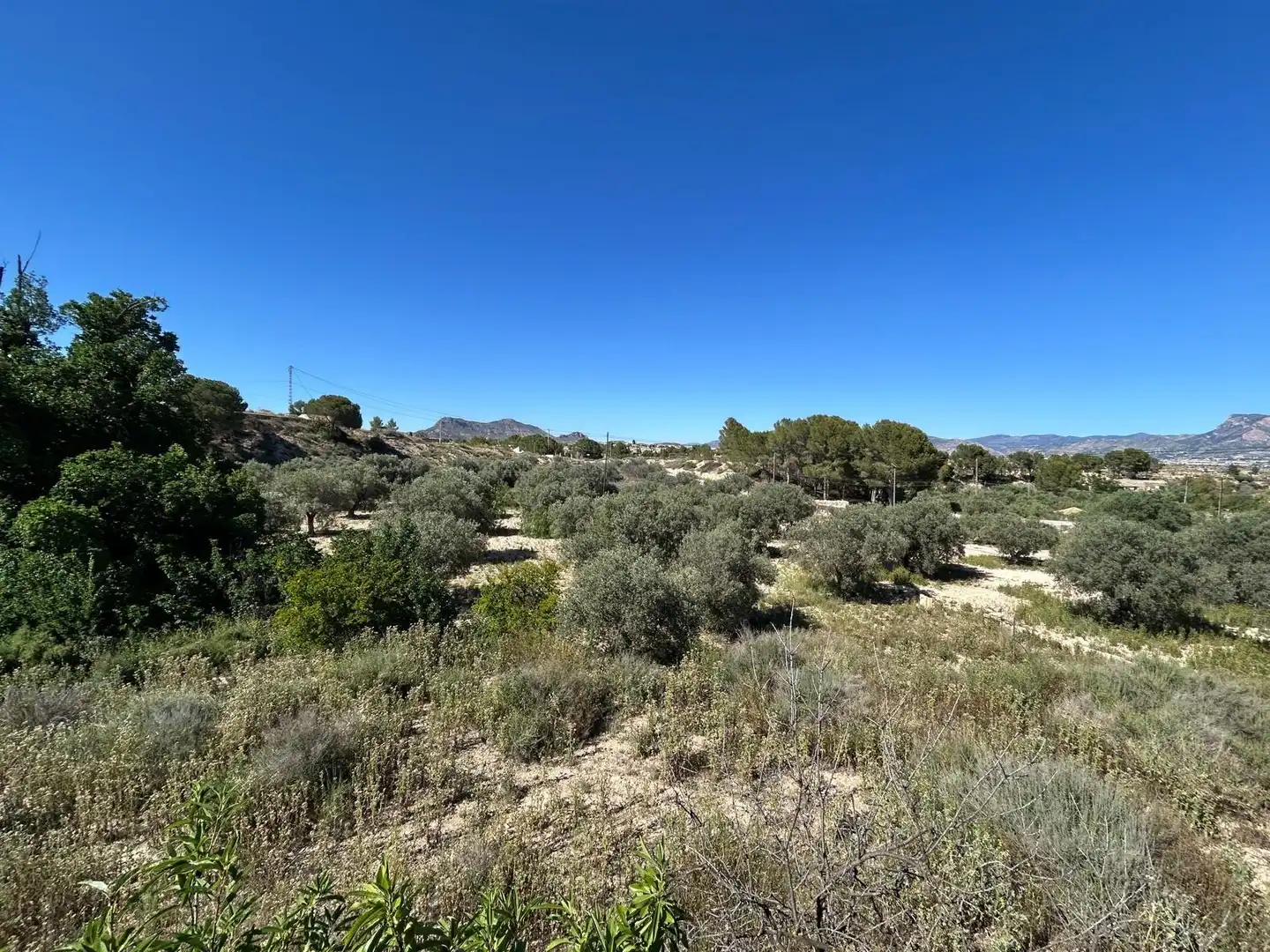 Casa rústica amb jardí en venda a Monóvar  / Monòver, imagen 39