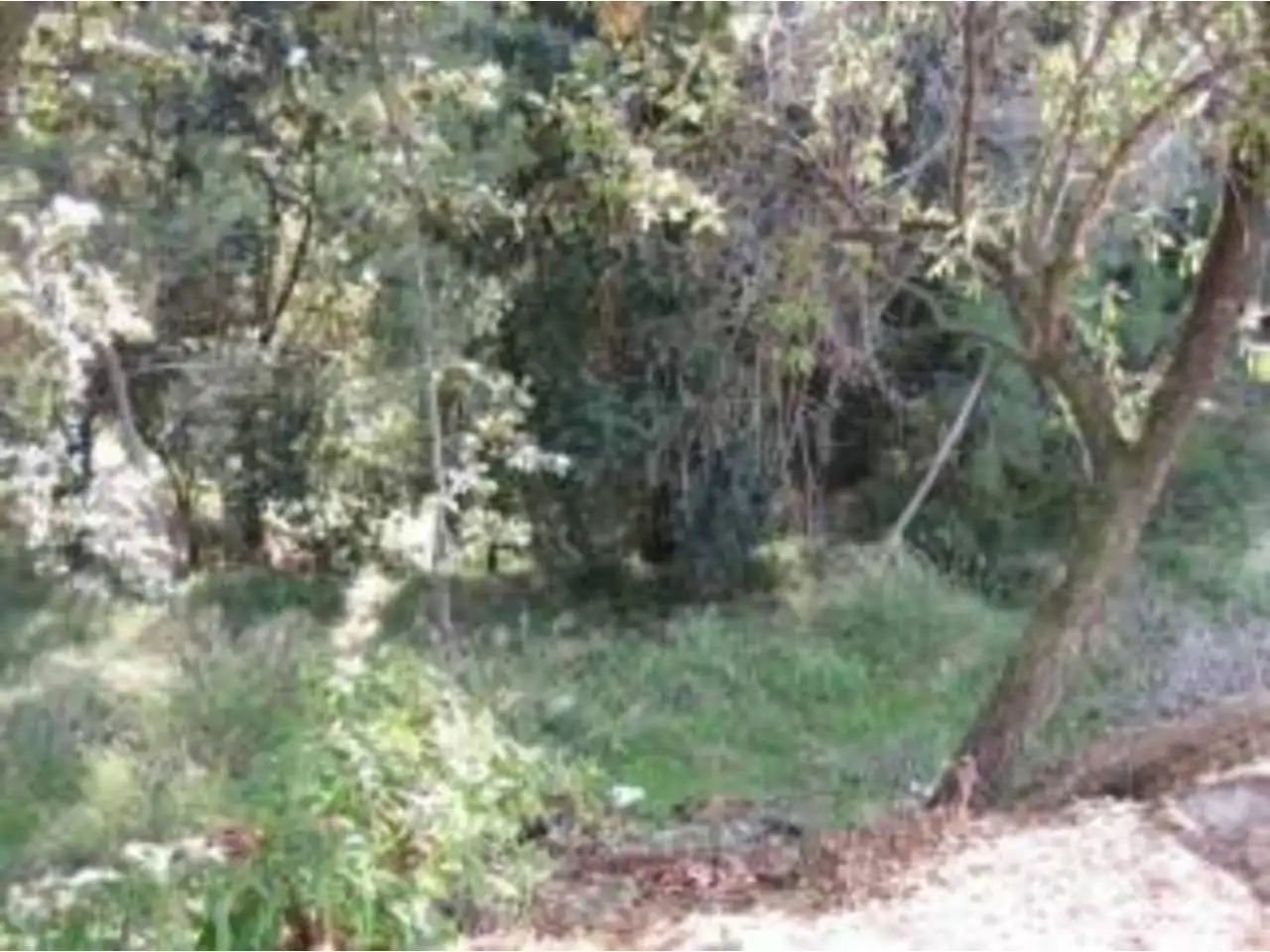 Wohnbaugrundstück zum Verkauf in Avenida MONTBUI 50, imagen 9