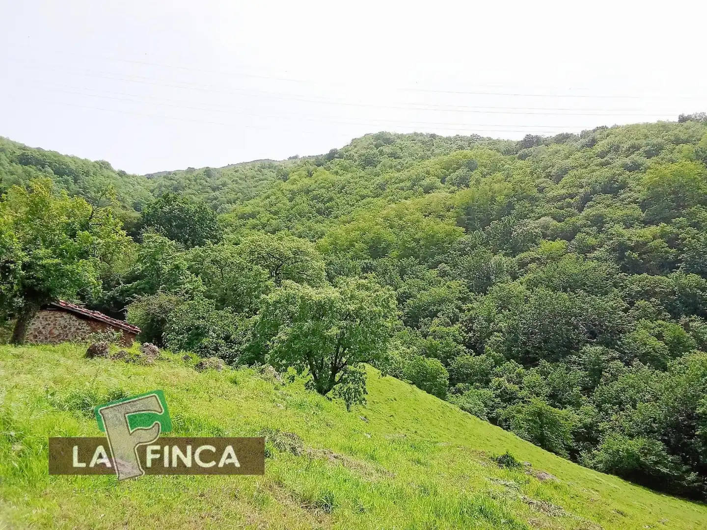 Residencial en venta en Lena