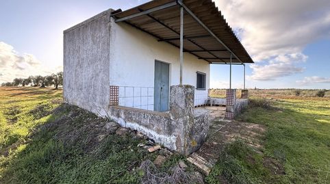 Bollullos Par del CondadoFinca Rustica, imatge 4