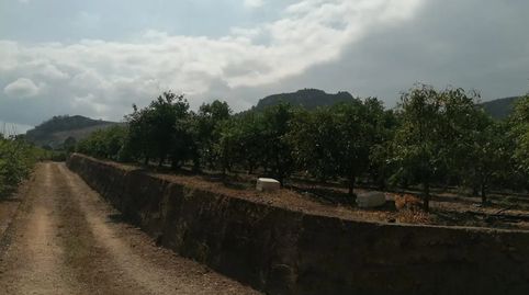 Foto 2 de Finca rústica en venda a Carrer Quintana, L'Atzúbia, Alicante