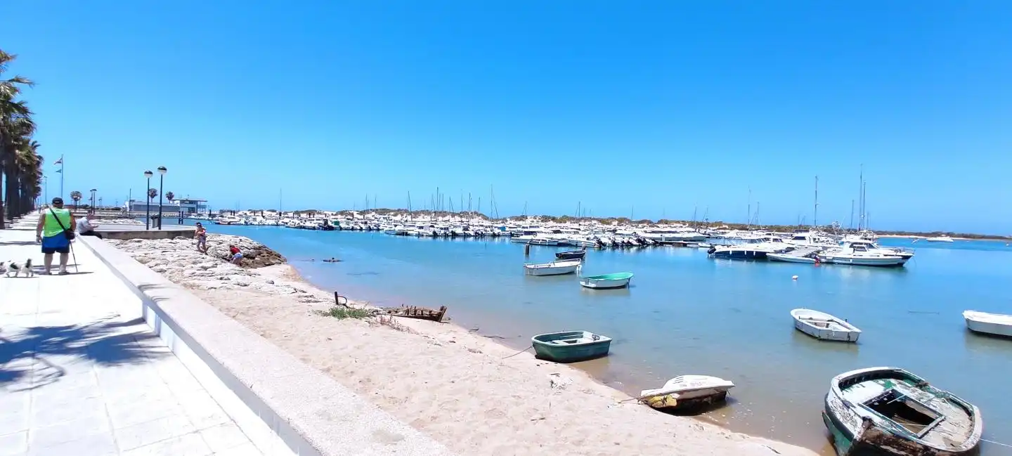 Vista exterior de Casa o chalet en venta en Chiclana de la Frontera con Aire acondicionado, Jardín privado y Terraza