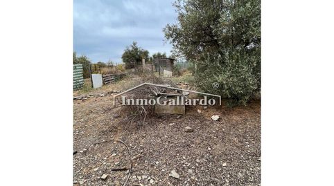 Foto 5 de Residencial en venta en Hispanidad - Vivar Téllez, Vélez-Málaga