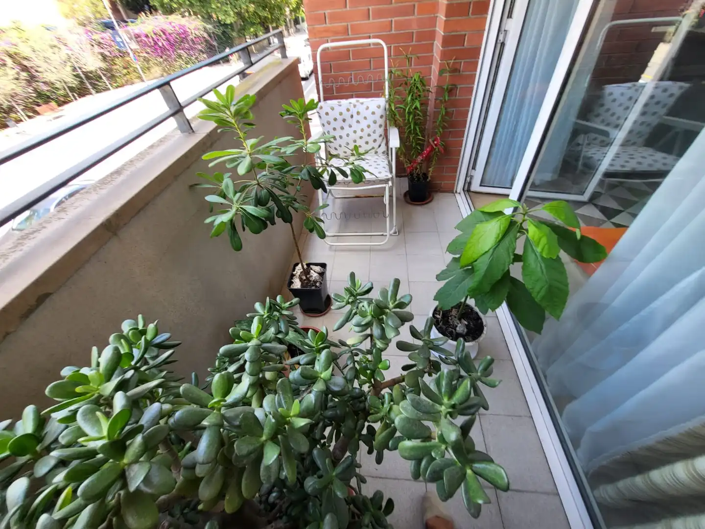 Appartement avec terrasse à vendre à Calella, imagen 11
