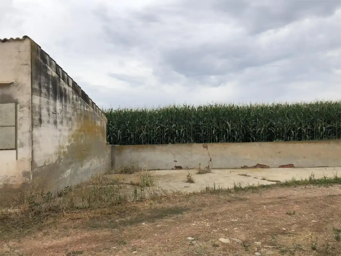 Pis en venda en San Miguel del Cinca
