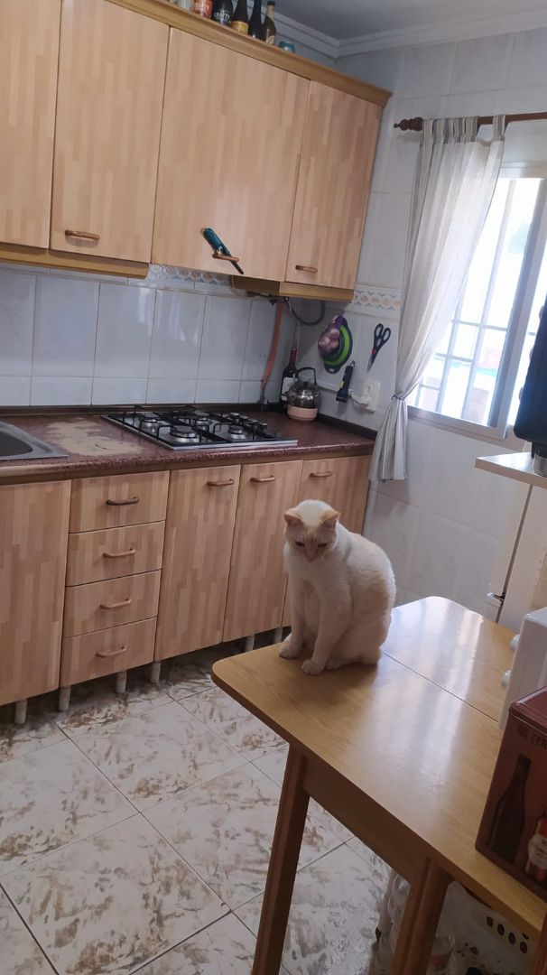 Kitchen of House or chalet for sale in Vilamarxant  with Furnished