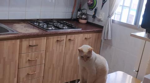 Foto 3 de Casa o xalet en venda a Vilamarxant, Valencia