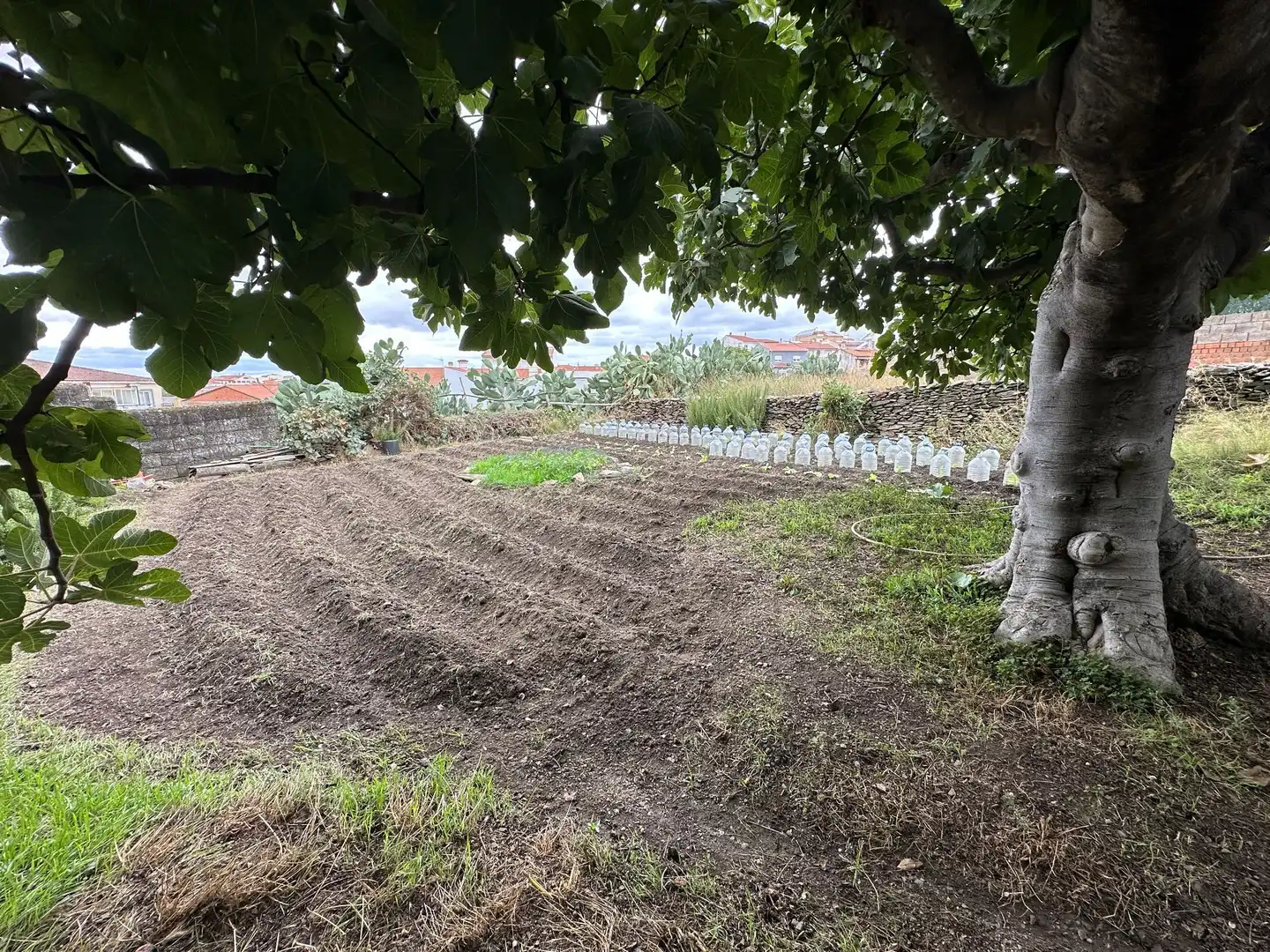Haus mit Garten zum Verkauf in Malpartida de Plasencia, imagen 3