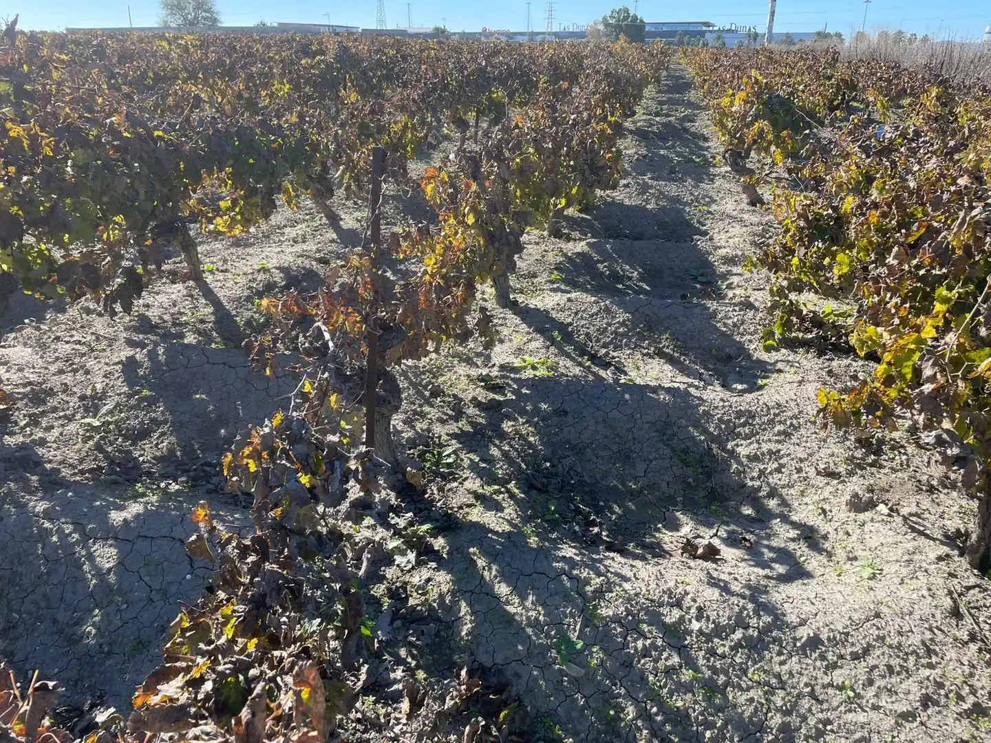 Rustikales Grundstück zum Verkauf in Centro - Calzada - Cabo Noval, imagen 4