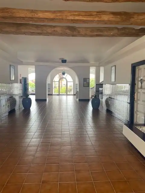 Apartments for sale in Zona Botánico