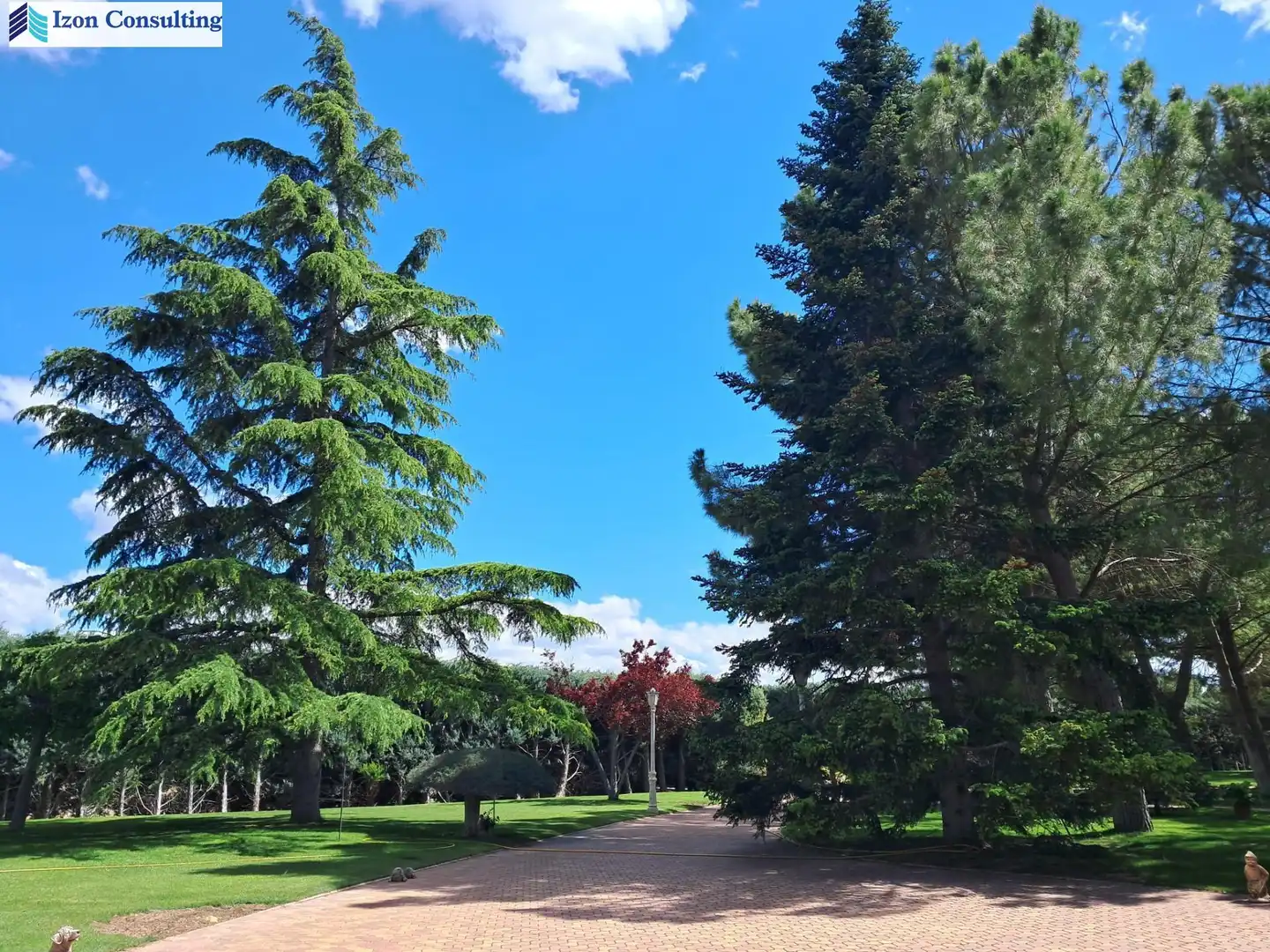 Chalet con terraza en venta en Pedanías - Extrarradio, imagen 39