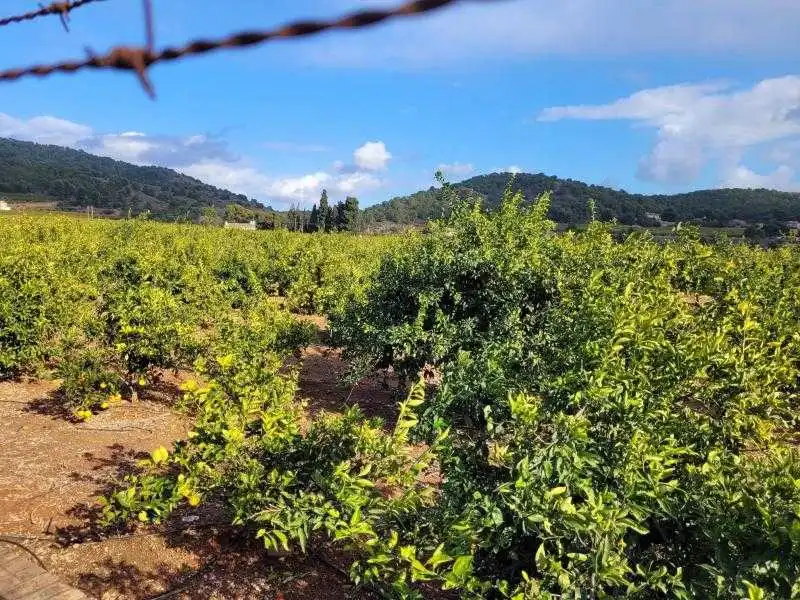 Terreno en venta en Náquera