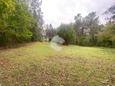 Lands and plots for sale in O Pereiro de Aguiar