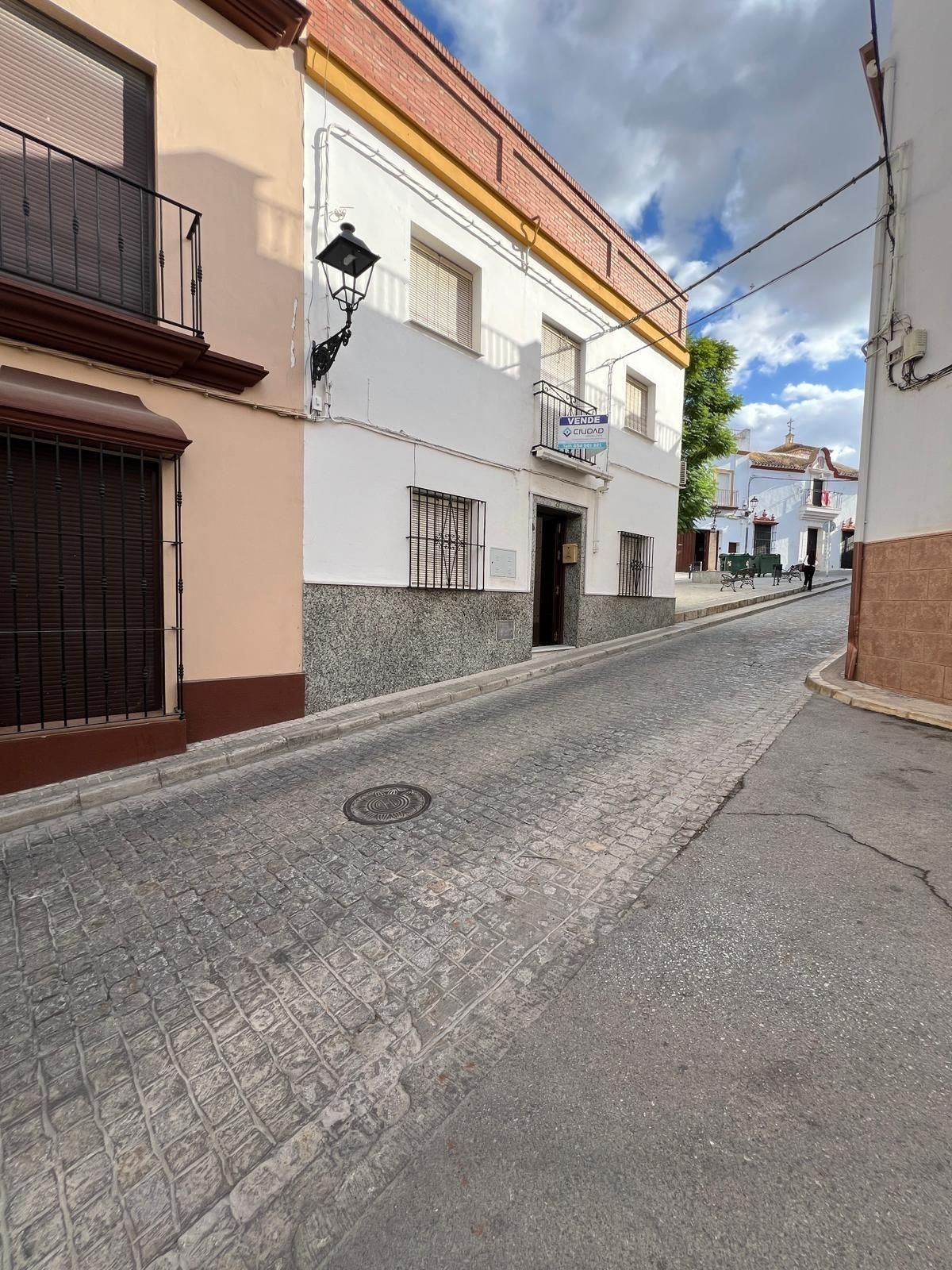 Vista exterior de Finca rústica en venda en Marchena