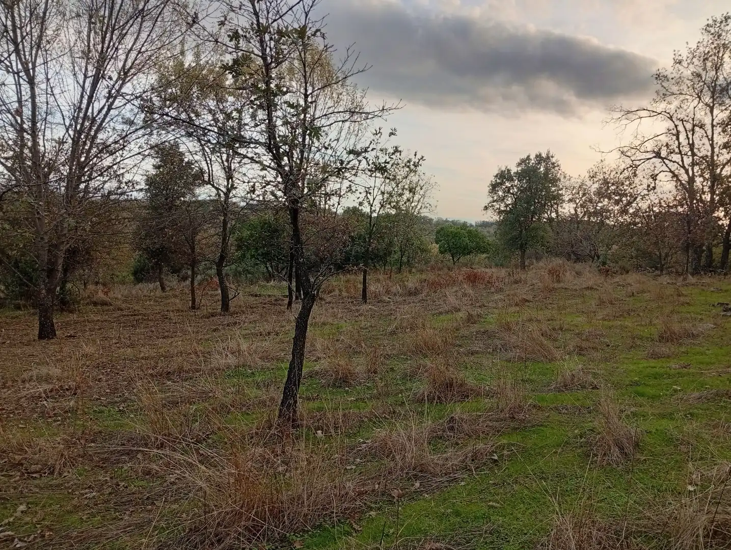 Terreni e lotti in vendita a Villanueva de la Vera, imagen 66