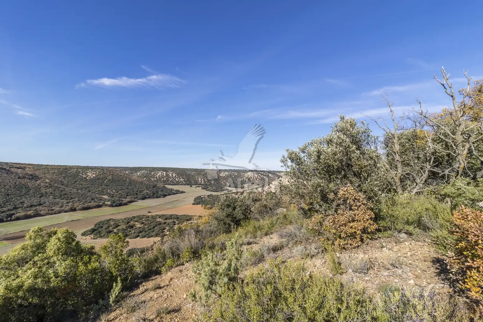 Terreno en venta en Yebes