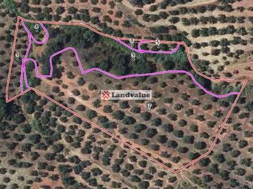 Terreno rustico in vendita a Polígono 41 Parcela 59 ARROYO DEL MADERO. RUBIALES