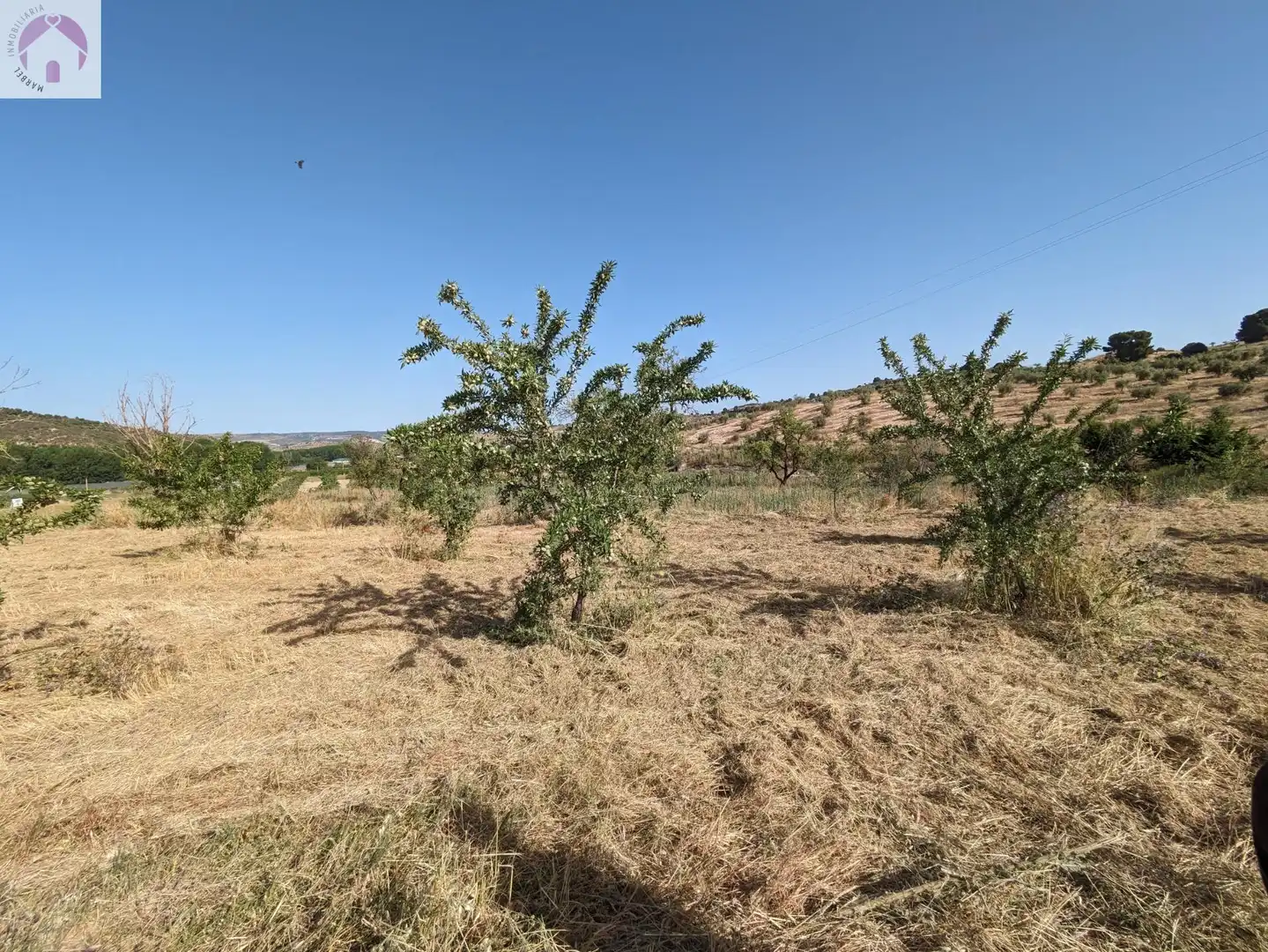 Residential land for sale in EXTRARRADIO, imagen 7