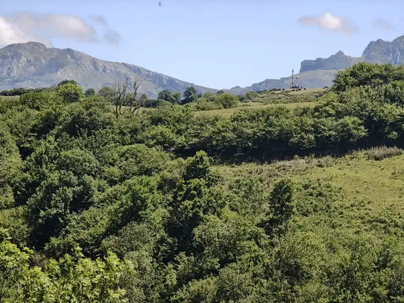 Terreno rustico in vendita a Proaza, imagen 43