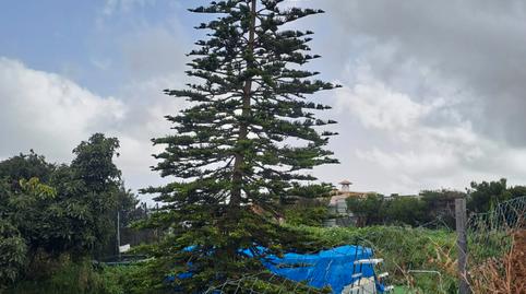 Foto 5 de Casa o xalet en venda a La Esperanza - Llano del Moro, Santa Cruz de Tenerife