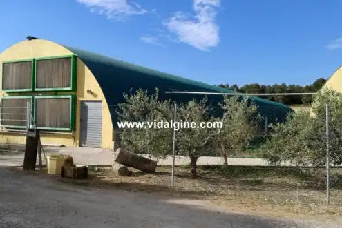 Exterior view of Industrial buildings for sale in La Sentiu de Sió