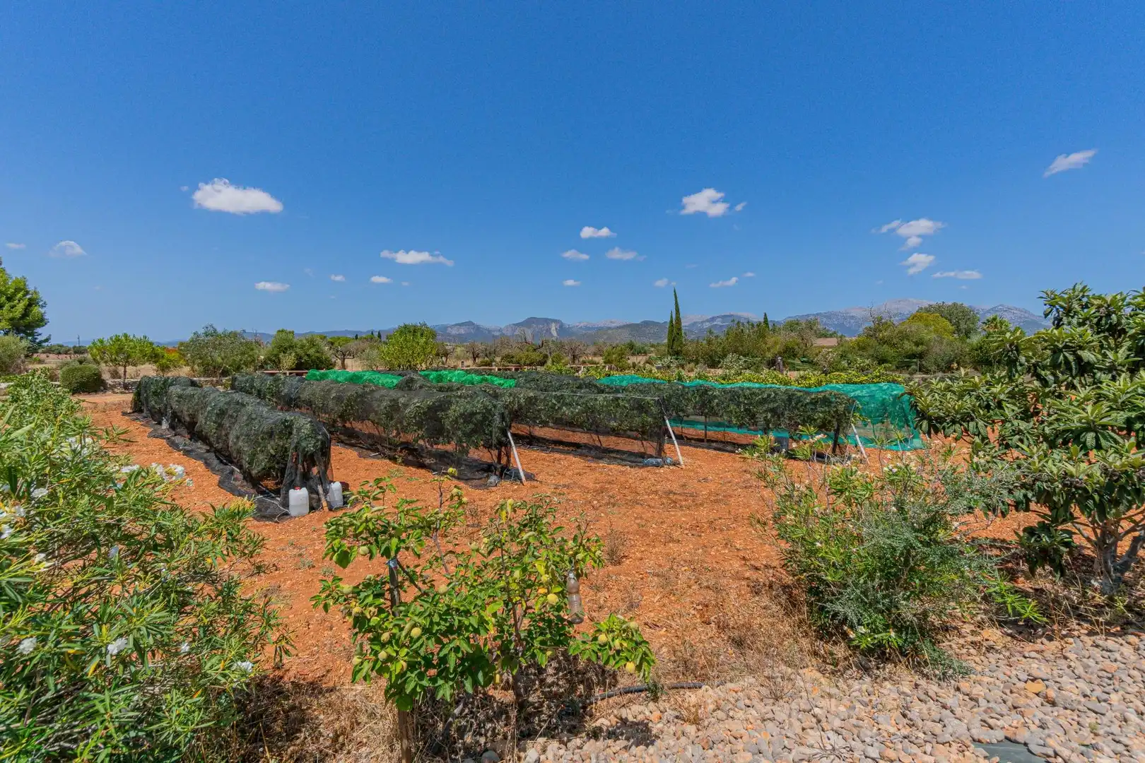 Country homes for sale in Inca  with Air Conditioner, Heating and Private garden