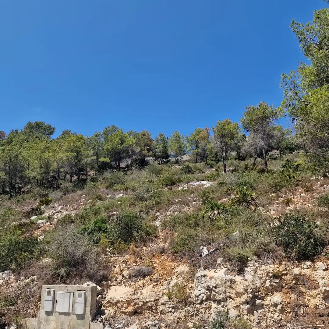 Terreno residencial en venta en Avenida de los Rosales 38, imagen 7
