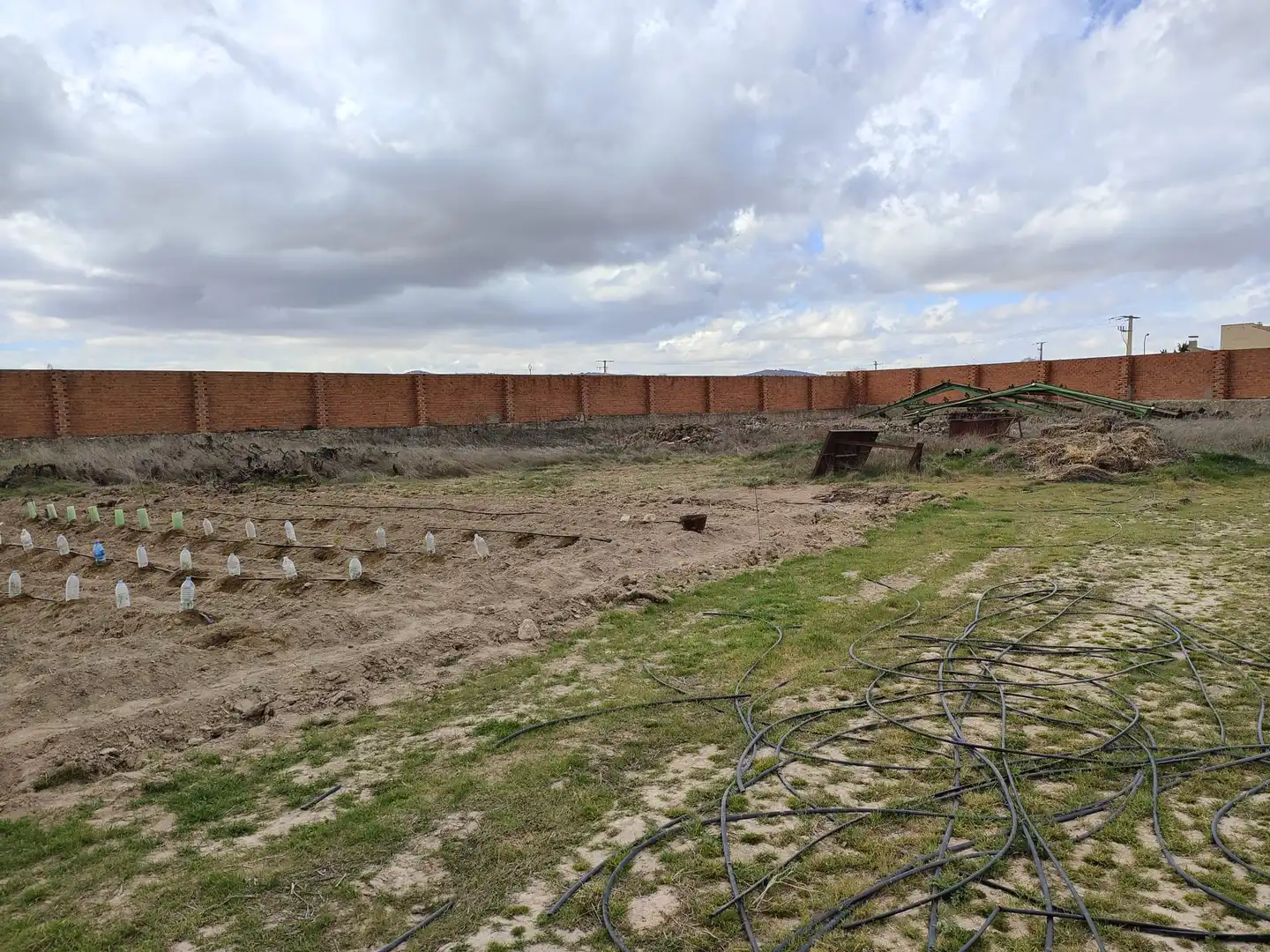 Lands and plots for sale in Corral de Almaguer, imagen 8