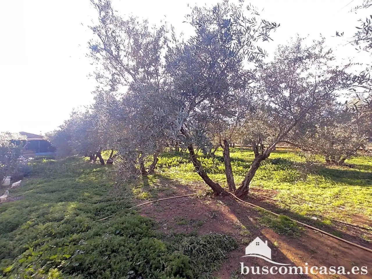 Casa amb jardí en venda a San Roque - La Cruz - La Rozuela, imagen 26