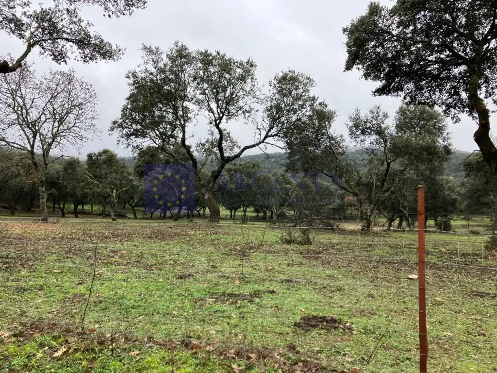 Casa o chalet en venta en Herguijuela