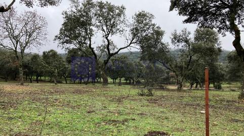 Foto 4 de Casa o xalet en venda a Herguijuela, Cáceres