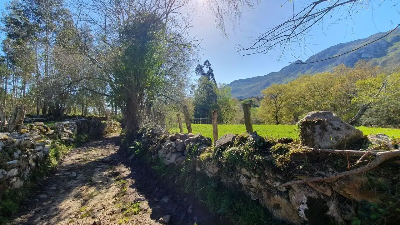 Vista exterior de Finca rústica en venta en Llanes