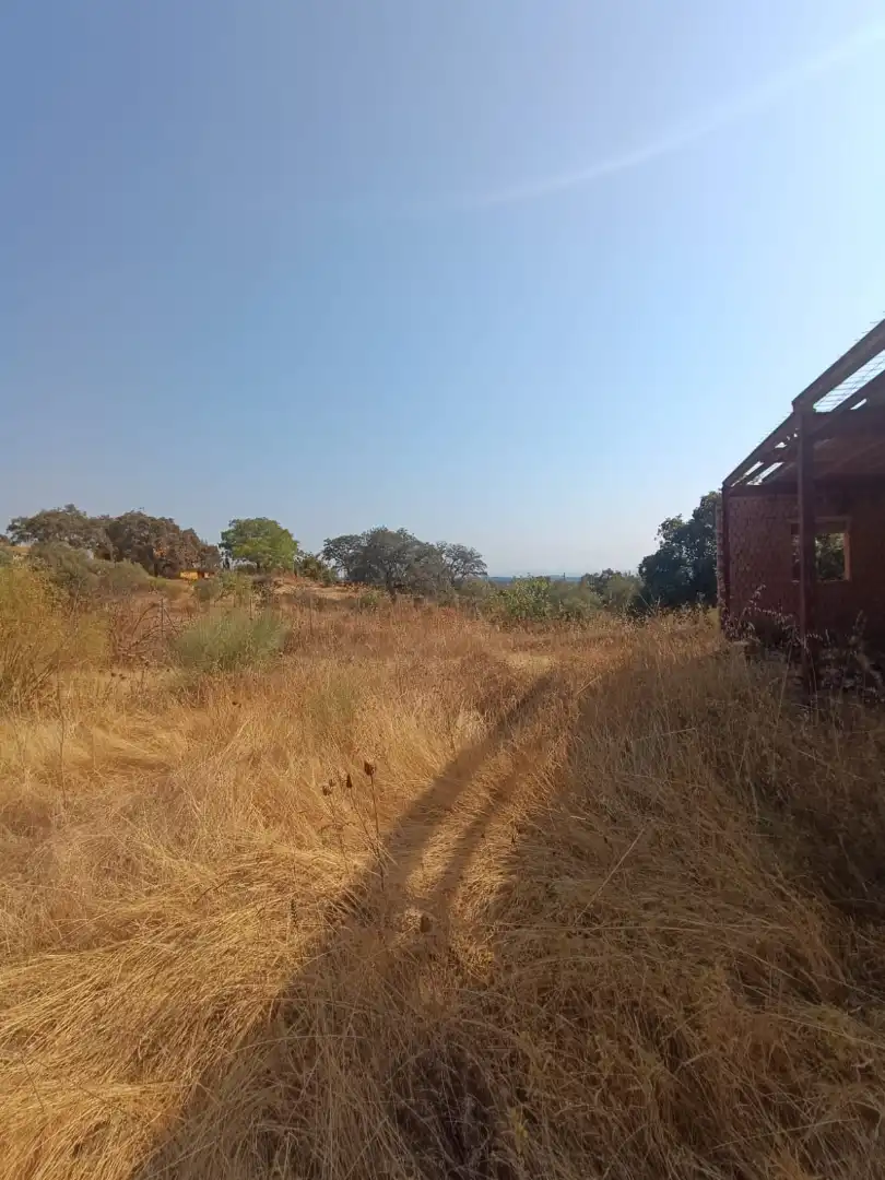 Terreno rustico in vendita a Castilblanco de los Arroyos, imagen 2