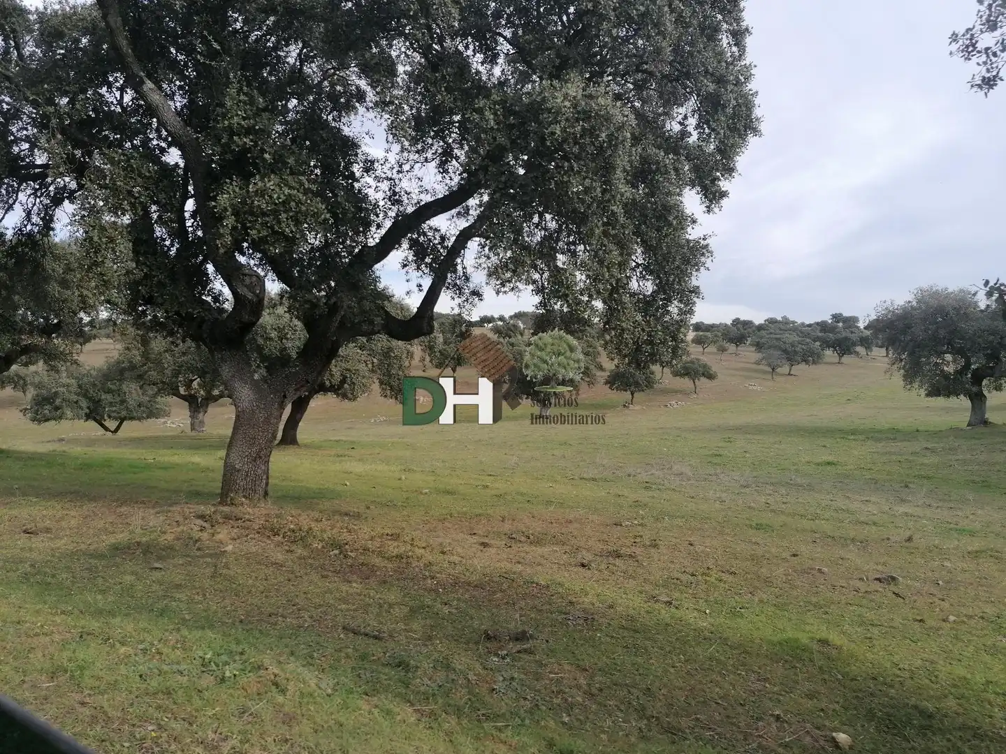 Terreni e lotti in vendita a Campus Universitario