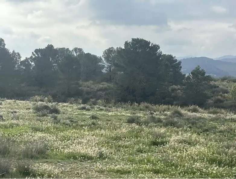 Terreno rustico in vendita a Carretera la Parroquia, imagen 2