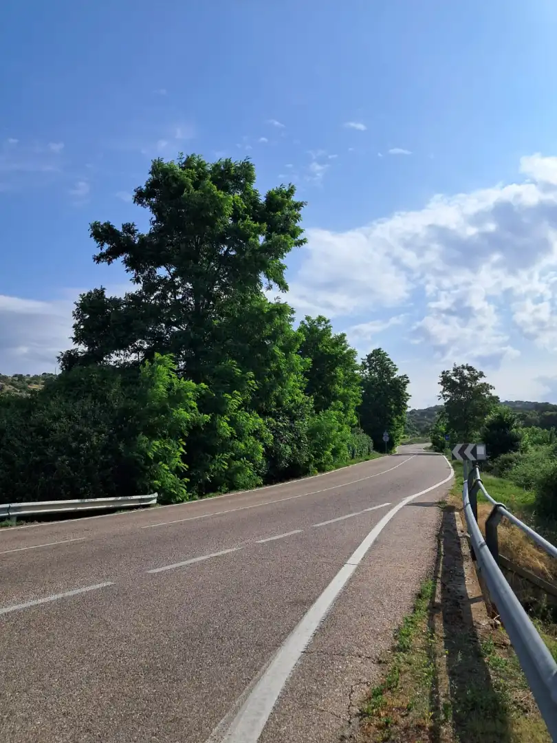 Terreno residenziale in vendita a San Román de los Montes, imagen 2
