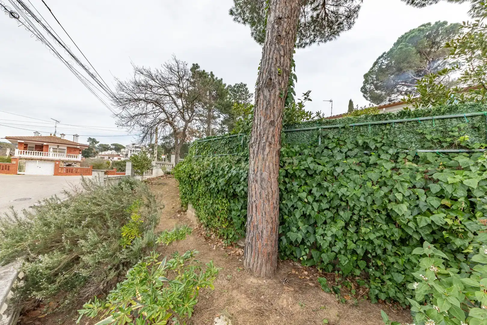 Jardí de Casa o xalet en venda en Tordera amb Jardí privat, Piscina i Alarma