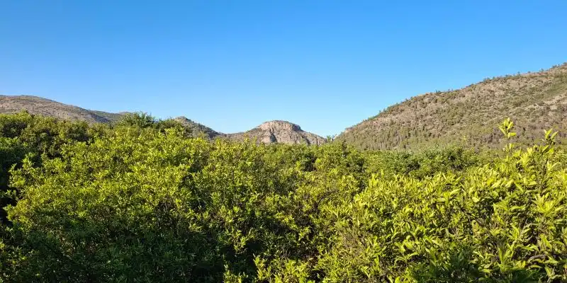 Terrain rustique à vendre à Terrenos MARXUQUERA  ALTA, imagen 23