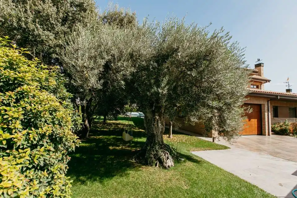 Jardí de Casa o xalet en venda en Banastás amb Aire condicionat, Calefacció i Jardí privat