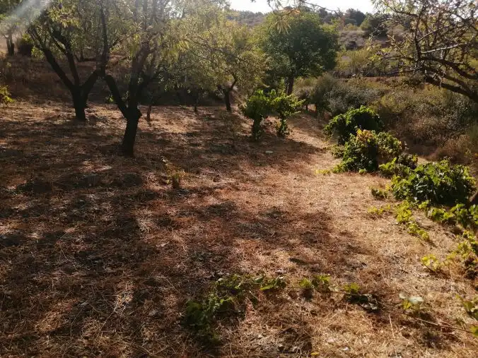 Terreni e lotti in vendita a Lecrín, imagen 4