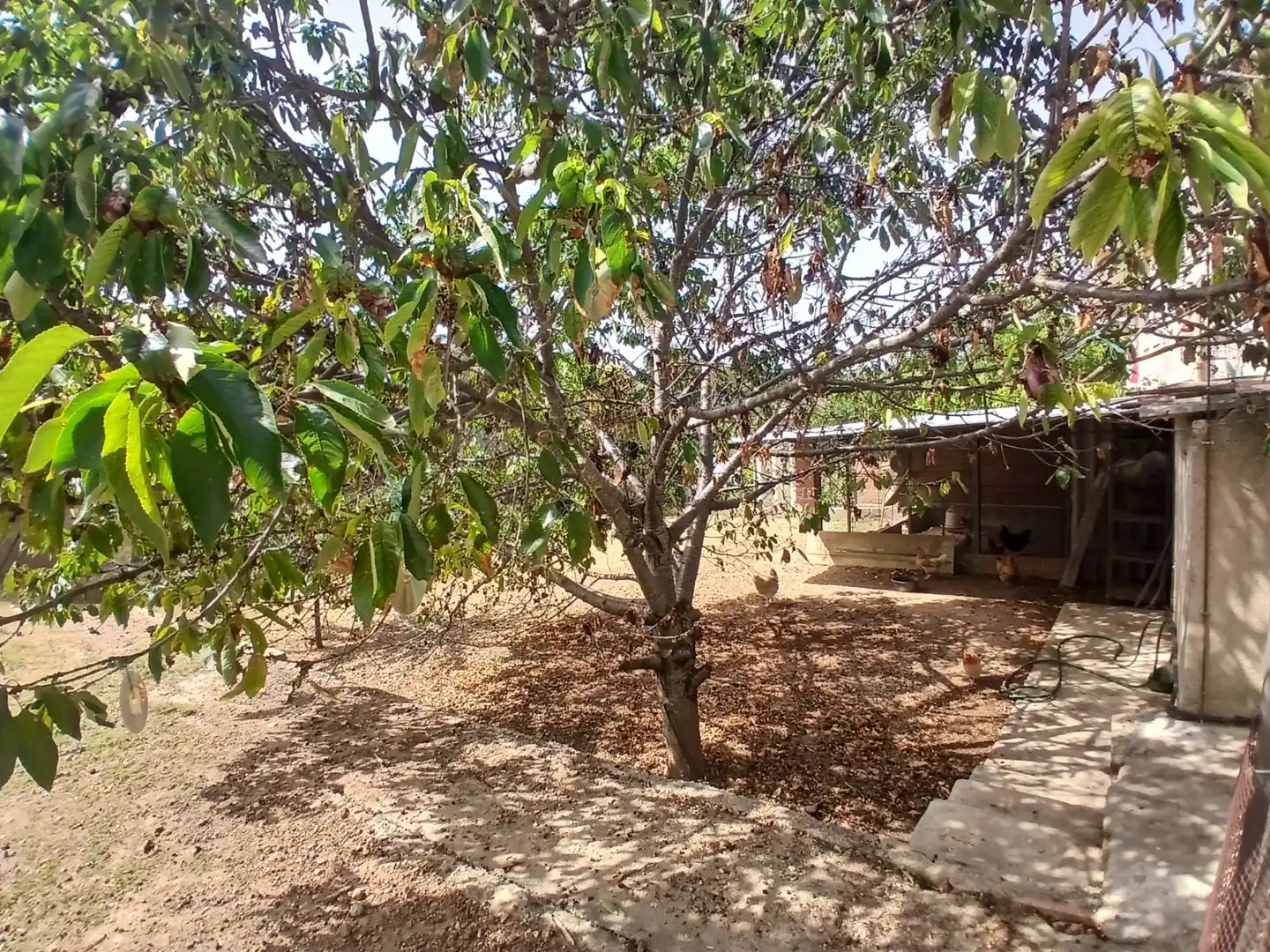 Casa en venda a Sant Pere de Vilamajor, imagen 42
