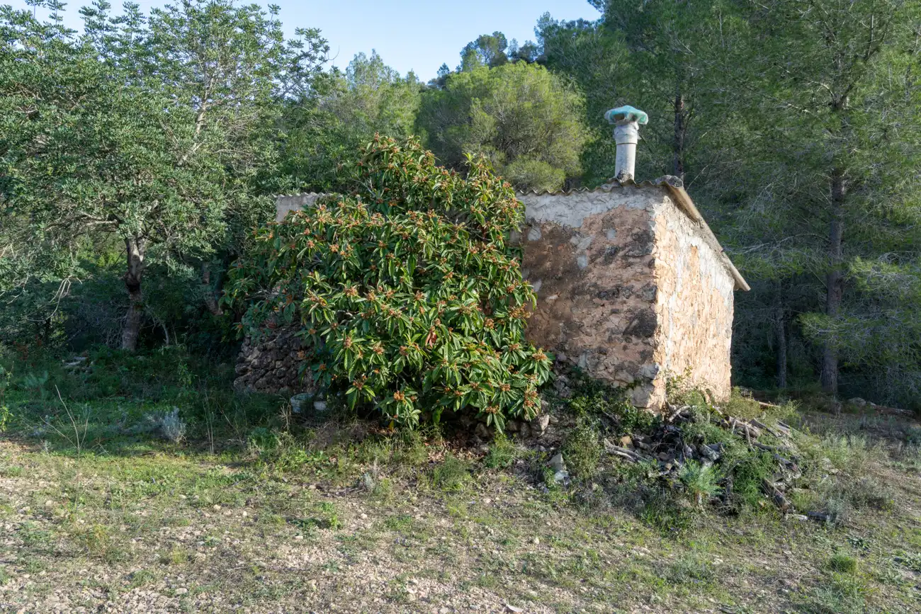 Terrain rustique à vendre à Tivenys, imagen 3