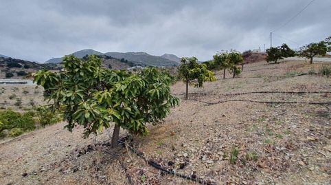 ItraboFinca Rustica