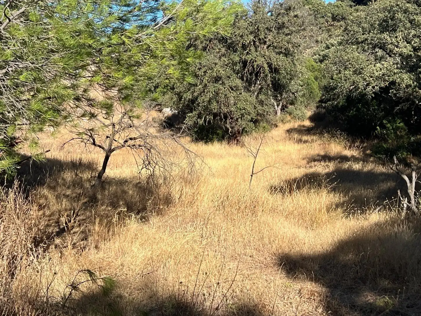 Finca rústica en venda en Antequera