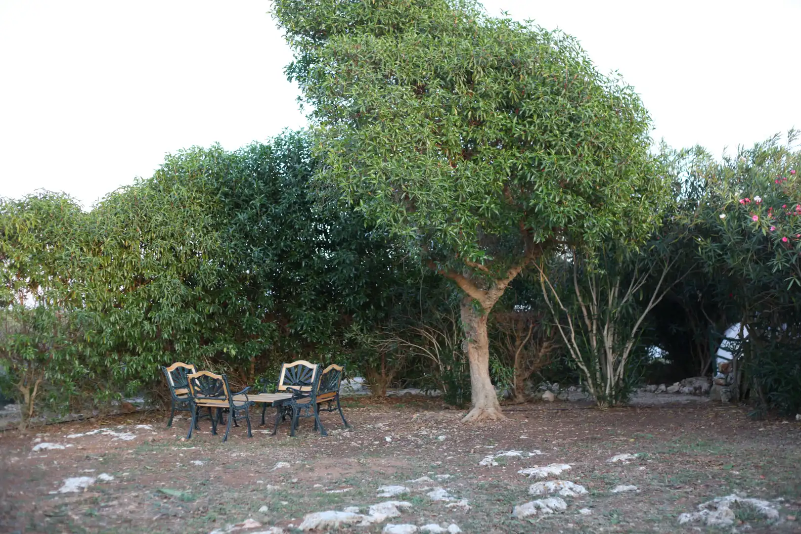 Finca rústica en venta en Sant Climent - Es Canutells