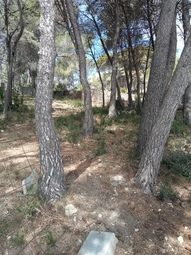 Rustikales Grundstück zum Verkauf in Avinguda de La Torre del Veguer 14